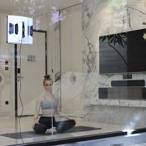 Робот-пилосос для миття вікон HOBOT Technology 2S (White)