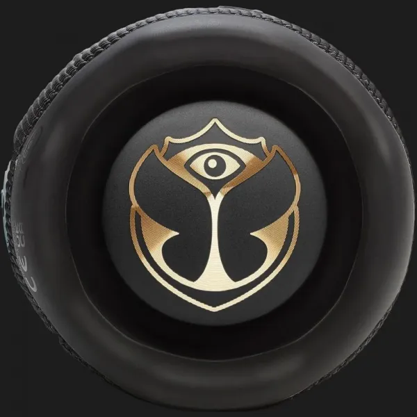 Портативна акустика JBL Flip 7 (Tomorrowland Edition)