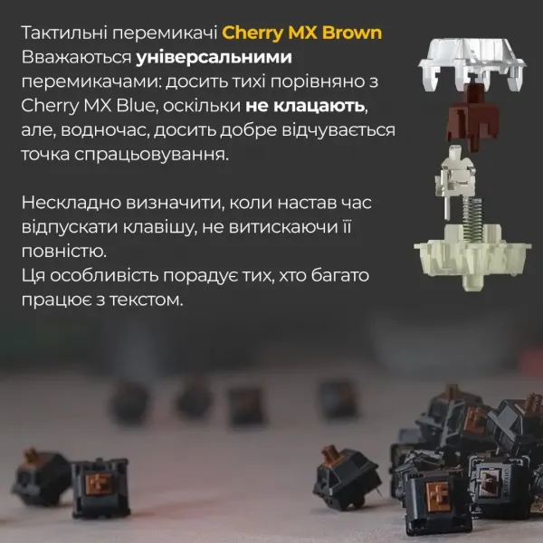 Клавіатура ігрова Ducky One 3 SF Cherry MX Brown RGB (Black) (UA)