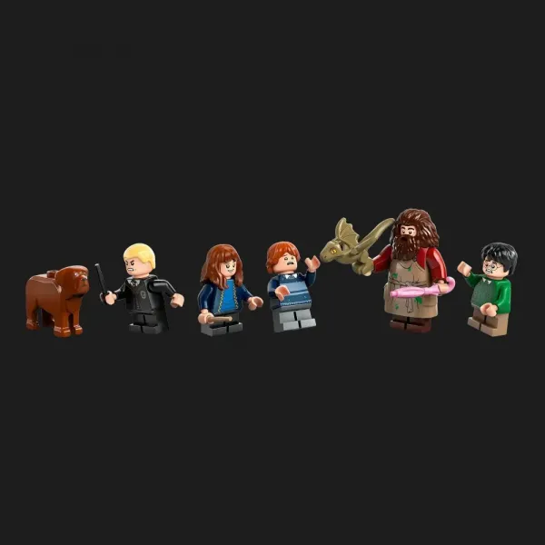 Конструктор LEGO Harry Potter Хатинка Геґріда: Несподівані гості (76428)