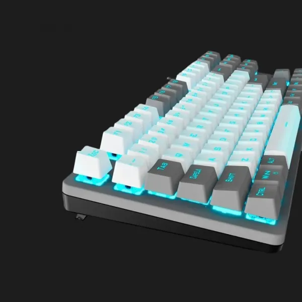 Клавіатура дротова AULA F3287 keycap KRGD blue EN/UA (Gray/White) (UA)